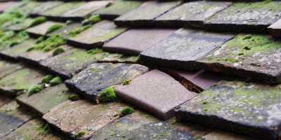 Upper Shelton roof repair costs